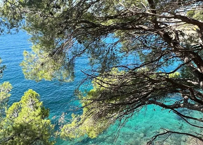 Almadrava Dream: Costa Brava 아파트 로지즈