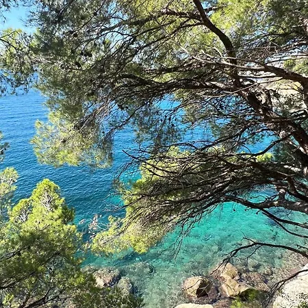 Almadrava Dream: Costa Brava Apartment Roses